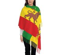 GONMFKM Scarfs For Women - Novelty Ethiopia Flag Animal Lions Print Shawl Pashmina Tassels Scarves And Wraps, Shawl And Wraps Fringe Large Blanket Stole Ethiopia Onesize