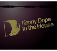 Gonzalez, Kenny 'Dope' - In the House [Part 2] [VINYL]