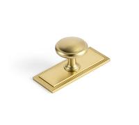Goo-Ki Champagne Bronze Cabinet Drawer Knobs with Backplate or Spacer Zinc Alloy Kitchen Hardware - 6 Pack Single Hole Bar Pull Handles