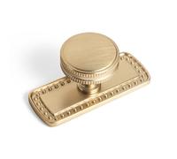 Goo-Ki Champagne Brozne Knob with Backplate Plate Zinc Alloy Hardware, 6 Pack Modern Champagne Brass Drawer Knob for Cabinet Kitchen