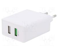 GOOBAY 44957 Power supply