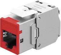 goobay RJ45 Coupling Keystone RJ45 LAN Cable Connector - Slim STP Module, 16.6 mm Wide, Tool-Free LSA Assembly, CAT 6A, PoE+ Compatible, Zinc Die-Cast Housing, 10-Gigabit Ethernet, Red - 77948