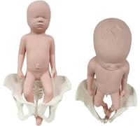 GOOBIX Female Pelvis Silicone Doll Model,Midwife Training Model,with Baby Symphysis And Pelvis-Pubic, Pelvis Childbirth Gynecology Teaching Medical Model,Male