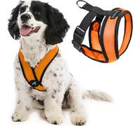 Gooby Comfort X Head-in Harness Anti-Pull Harness for Dogs - Patented Anti-strangle X-frame - Perfect for Medium and Small Dogs, Indoor and Outdoor - Orange