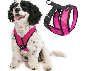 Gooby Comfort X Head In Harness - Flamingo Pink, Large - No Pull Small Dog Harness, Patented Choke-Free X Frame - On the Go Dog Harness for Medium Dogs No Pull or Small Dogs for Indoor and Outdoor Use