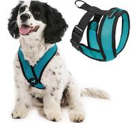 Gooby Comfort X Head in Harness - Turquoise, Large - No Pull Small Dog Harness, Patented Choke-Free X Frame - On The Go Dog Harness for Medium Dogs No Pull or Small Dogs for Indoor and Outdoor Use