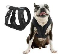 Gooby Comfort X One Dog Harness for Small and Medium Dogs - Choke Free - Breathable Mesh, Shock Absorbing, Easy Adjust Swivel Buckles - Black, Small