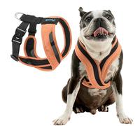 Gooby Comfort X One Dog Harness - Head-in Dog Harness for Small & Medium Sized Dogs - Escape-Free & Choke Free - Breathable Mesh, Shock Absorbing, Easy Snap & Swivel Buckles - Atlanta Peach, Medium