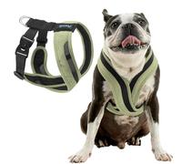 Gooby Comfort X One Dog Harness - Head-in Dog Harness for Small & Medium Sized Dogs - Escape-Free & Choke Free - Breathable Mesh, Shock Absorbing, Easy Snap & Swivel Buckles - Portland Green, Medium