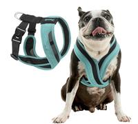 Gooby Comfort X One Dog Harness - Head-in Dog Harness for Small & Medium Sized Dogs - Escape-Free & Choke Free - Breathable Mesh, Shock Absorbing, Easy Snap & Swivel Buckles - Seattle Blue, Medium