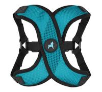 Gooby Comfort X Step in Lite Dog Harness - Choke Free, Escape Free with Light Breathable Mesh - Dog Harness for Small and Medium Breeds - Quick Release Buckle, Metal D-Rings - Turquoise, Large