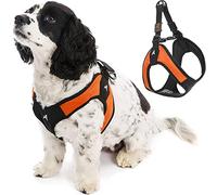 Gooby Escape Free Easy Fit Harness - Orange, X-Small - No Pull Step-in Patented Dog Harness With Quick Release Buckle - Perfect on the Go for Small or Medium Dogs