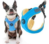 Gooby Escape Free Memory Foam Harness - Blue, Medium - No Pull Step-in Small Dog Harness with Four Point Adjustment - Perfect on The Go Dog Harness for Medium Dogs No Pull and Small Dogs