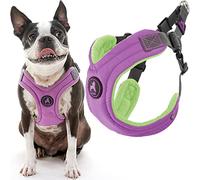 Gooby Escape Free Memory Foam Harness - Purple, Medium - No Pull Step-in Small Dog Harness with Four Point Adjustment - Perfect on The Go Dog Harness for Medium Dogs No Pull and Small Dogs