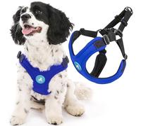 Gooby Escape Free Sport Harness - Blue, Small - No Choke Step-in Patented Neoprene Small Dog Harness with Four-Point Adjustment - Perfect on The Go Dog Harness for Medium Dogs No Pull and Small Dogs