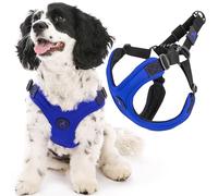 Gooby Escape Free Sport Harness - Blue, Small - No Choke Step-in Patented Neoprene Dog Harness with Four-Point Adjustment - Perfect On-The-Go Dog Harness for Medium and Small Dogs