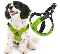 Gooby Escape Free Sport Harness - Lime, Large - No Choke Step-in Patented Neoprene Small Dog Harness with Four-Point Adjustment - Perfect on The Go Dog Harness for Medium Dogs No Pull and Small Dogs
