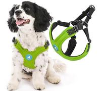 Gooby Escape Free Sport Harness - Lime, Medium - No Choke Step-in Patented Neoprene Small Dog Harness with Four-Point Adjustment - Perfect on The Go Dog Harness for Medium Dogs No Pull and Small Dogs