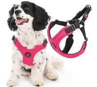 Gooby Escape Free Sport Harness - Pink, Medium - No Choke Step-in Patented Neoprene Small Dog Harness with Four-Point Adjustment - Perfect on The Go Dog Harness for Medium Dogs No Pull and Small Dogs