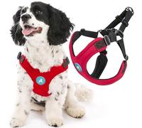 Gooby Escape Free Sport Harness - Red, Medium - No Choke Step-in Patented Neoprene Small Dog Harness with Four-Point Adjustment - Perfect on The Go Dog Harness for Medium Dogs No Pull and Small Dogs