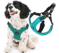 Gooby Escape Free Sport Harness - Turquoise, Large - No Choke Step-in Patented Neoprene Small Dog Harness, Four-Point Adjustment - Perfect on The Go Dog Harness for Medium Dogs No Pull and Small Dogs