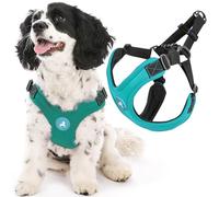 Gooby Escape Free Sport Harness - Turquoise, Medium - No Choke Step-In Patented Neoprene Small Dog Harness, Four-Point Adjustment - Perfect on the Go Dog Harness for Medium Dogs No Pull and Small Dogs