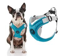 Gooby Memory Foam Step in Harness - Turquoise, Medium - No Pull Small Dog Harness Patented Choke-Free X Frame - Perfect On-The-Go Dog Harness