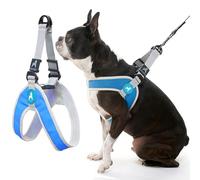 Gooby - Simple Step-in Harness III, Small Dog Harness Scratch Resistant Breathable Mesh, Blue, Large