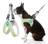 Gooby Simple Step In III Harness - Green, Medium - No Pull Small Dog Harness with Scratch Resistant Outer Vest - On the Go Soft Inner Mesh Dog Harness for Medium Dogs No Pull, Small Dogs, Cat Harness