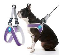 Gooby Simple Step In III Harness - Purple, Small - No Pull Small Dog Harness with Scratch Resistant Outer Vest - On the Go Soft Inner Mesh Dog Harness for Medium Dogs No Pull, Small Dogs, Cat Harness