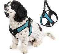 Gooby Turquoise X-Small Easy Fit Harness - No Pull Patented Design for Small Dogs with Quick Release Buckle