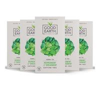 Good Earth Tea Co. Peppermint & Spearmint Herbal Tea, 5 x 15 Tea Bags