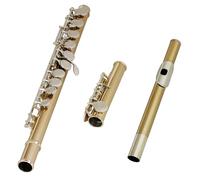 Good Green Bronze 16 Hole Flute with Box Cleaning Cloth Stick Gloves for School Bands and Personality Practice Small Concert Flute