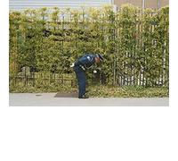 Good Luck and Do Your Best by Gold Panda