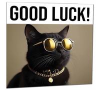 Good Luck Card - Cool Black Cat - Co Worker Colleague New Job Card 145 x 145mm