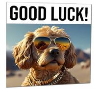 Good Luck Card - Cool Cockapoo - Colleague Co Worker New Job Card 145 x 145mm