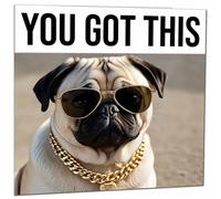 Good Luck Card - Cool Pug Dog You Got This Colleague New Job Card 145 x 145mm