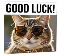 Good Luck Card - Cool Tabby Cat - You Got This Colleague New Job Card