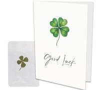 Good Luck Card with Real Pressed Four Leaf Clover - A5 Greeting Card with Genuine Lucky Charm Inside