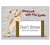 Good Luck Cards for Exams - Special Wishes for Exam Success - School College University - Blank inside to write own message - Funny Dog and Message