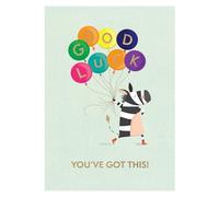Good Luck You've Got This Zany Zebra Fun! Contemporary Good Luck Greeting Card ELML076