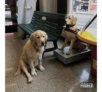 GOOD MORNING - THE OPTION (RED VINYL) [VINYL]