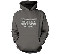 Good Morning World! Ray of Sarcastic Sunshine Unisex Hoodie - Grey Medium