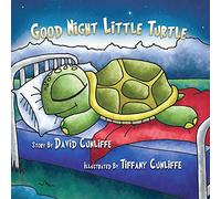 Good Night Little Turtle