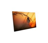 Good Night Sunset Butterfly Orange Canvas Wall Art Picture Print CanvasGeeks Orange W36 inch x H24 inch x D40mm