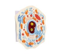 Good Resolution Animal Cell Model with Modular Design for Interactive Biology Learning in School Biology Learning Tool