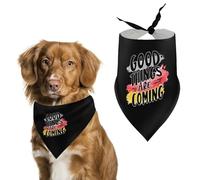 Good Things Are Coming Cute Dog Bandana Triangle Adjustable Washable