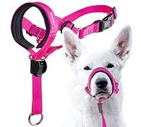 GoodBoy Dog Head Halter with Safety Strap - Stops Heavy Pulling On The Leash - Padded Headcollar for Small Medium and Large Dog Sizes - Head Collar Training Guide Included (Size 2, Pink Nylon)