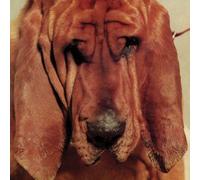 Goodbye Bread by TY SEGALL