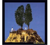 Goodbye Cruel World (Rmst)